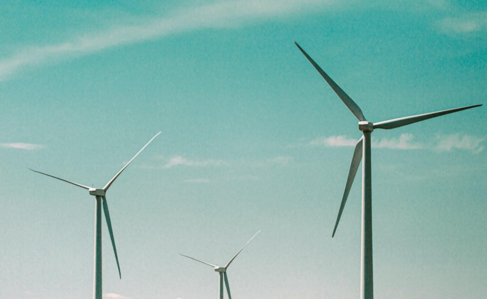 Session de cours en ligne sur l'énergie renouvelable — plateforme Omnistara